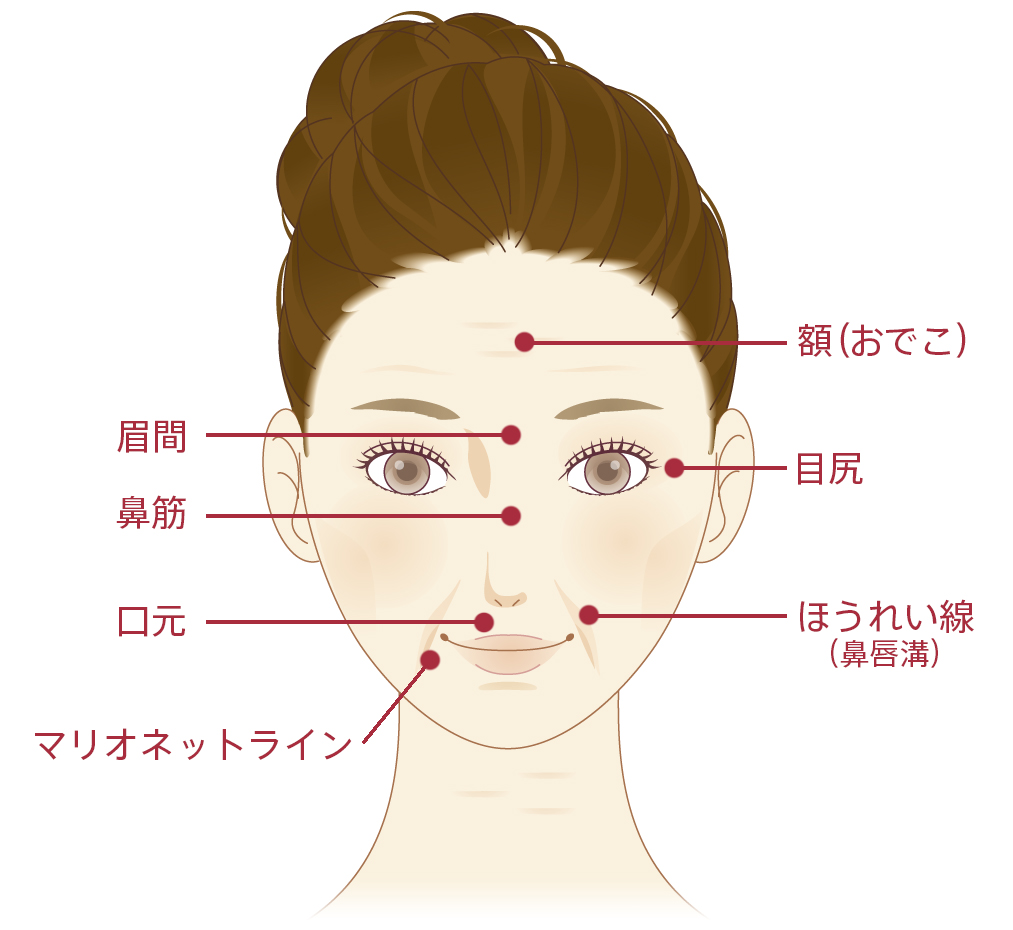 7つの代表的な表情ジワ（額、ほうれい線、目尻、口元、眉間、マリオネットライン、鼻筋）