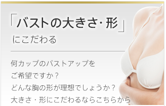 「バストの大きさ・形」にこだわる