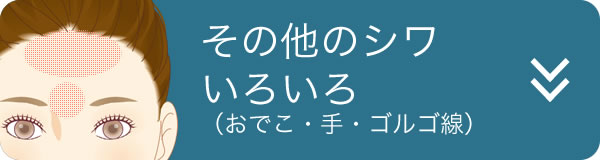 その他のシワいろいろ