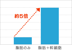 幹細胞を注入することで、脂肪生着量が脂肪のみの場合の5倍に！