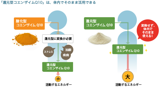 「還元型コエンザイムQ10」は、体内でそのまま活用できる