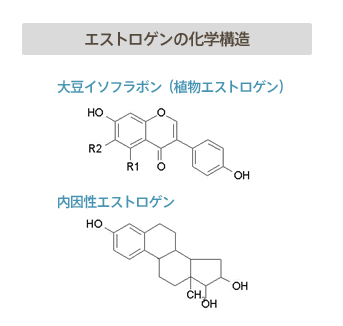 エストロゲンの化学構造