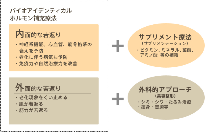 バイオアイデンティカルホルモン補充療法