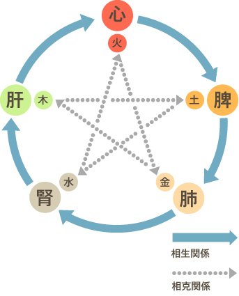 五臓の相生関係、五行説の相克関係