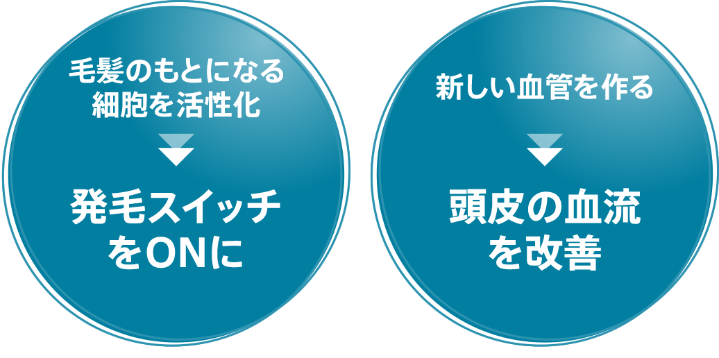 毛髪のもとになる細胞を活性化 発毛スイッチをONに 新しい血管を作る 頭皮の血流を改善