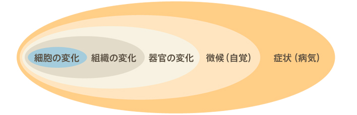 毛髪ミネラル検査 毛髪再生外来 Aga 女性の薄毛治療 美容整形 美容外科 美容皮膚科なら聖心美容クリニック 毛髪ミネラル検査 毛髪再生外来 Aga 女性の薄毛治療 美容整形 美容外科 美容皮膚科なら聖心美容クリニック