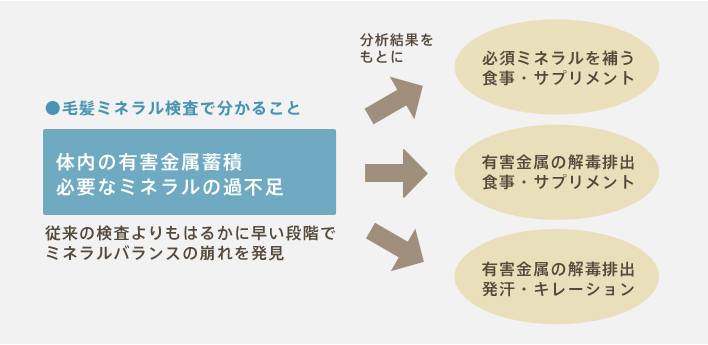 毛髪ミネラル検査 毛髪再生外来 Aga 女性の薄毛治療 美容整形 美容外科 美容皮膚科なら聖心美容クリニック 毛髪ミネラル検査 毛髪再生外来 Aga 女性の薄毛治療 美容整形 美容外科 美容皮膚科なら聖心美容クリニック