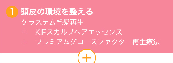 1 頭皮の環境を整える ケラステム毛髪再生 + KIPスカルプヘアエッセンス + プレミアムグロースファクター再生療法 +