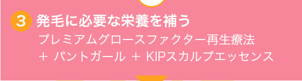 3 発毛に必要な栄養を補う プレミアムグロースファクター再生療法 + パントガール + KIPスカルプエッセンス