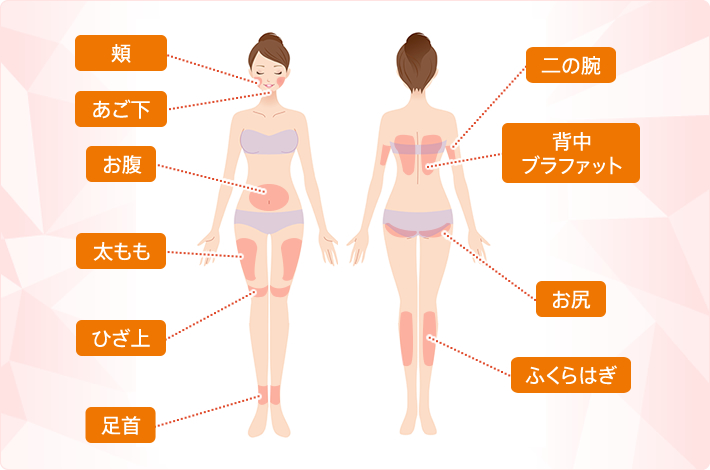 頬、あご下、二の腕、背中、ブラファット、お腹、お尻、太もも、ひざ上、ふくらはぎ、足首