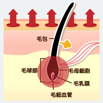 熱を蓄積