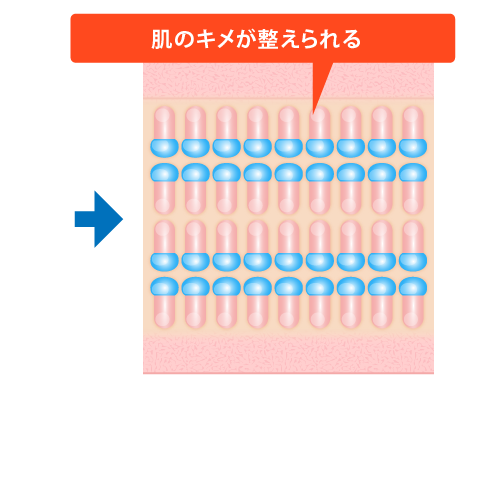 肌のキメが整えられる。