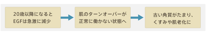 20歳以降になるとEGFは急激に減少→肌のターンオーバーが正常に働かない状態へ→古い角質がたまり、くすみや肌老化に