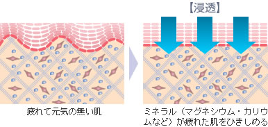 疲れて元気の無い肌 ミネラル（マグネシウム・カリウムなど）が疲れた肌をひきしめる