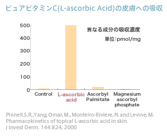 ピュアビタミンC（L-ascorbic Acid）の皮膚への吸収
