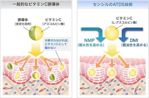 一般的なビタミンC誘導体、センシルのATDS技術