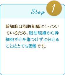 Step1:幹細胞は脂肪組織にくっついているため、脂肪組織から幹細胞だけを傷つけずに分けることはとても困難です。