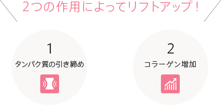 2つの作用によってリフトアップ！ 1 タンパク質の引き締め 2 コラーゲン増加