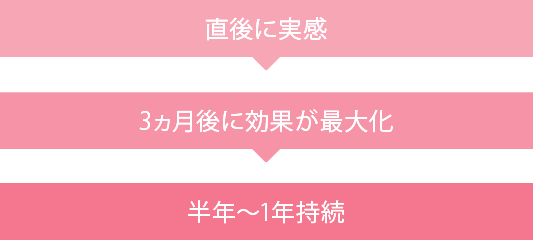 直後に実感→3ヶ月で効果が最大化→半年～1年持続