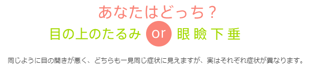 あなたはどっち