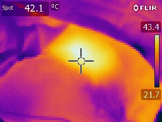 赤外線カメラとサーモグラフィで継続的に照射部の温度をモニタリング