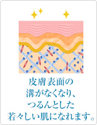 皮膚表面の溝がなくなり、つるんとした若々しい肌になれます。