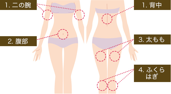 二の腕,背中,腹部,太もも,ふくらはぎ