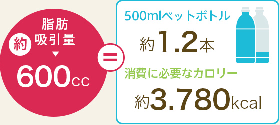 脂肪吸引量 約600cc,500mlペットボトル 約1.2本,消費に必要なカロリー 約3,780kcal