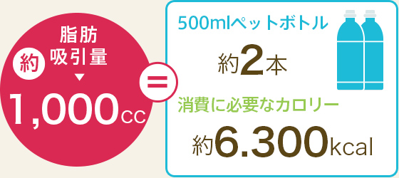 脂肪吸引量 約1,000cc,500mlペットボトル 約2本,消費に必要なカロリー 約6,300kcal