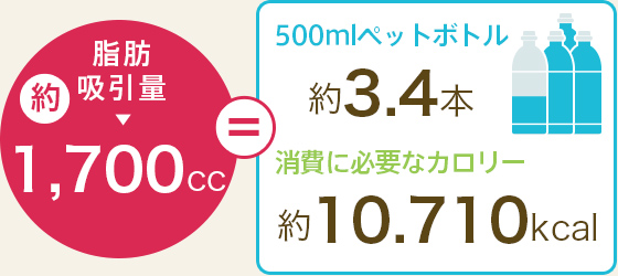 脂肪吸引量 約1,700cc,500mlペットボトル 約3.4本,消費に必要なカロリー 約10,710kcal