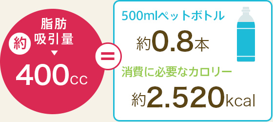 脂肪吸引量 約400cc,500mlペットボトル 約0.8本,消費に必要なカロリー 約2,520kcal