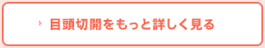 目頭切開をもっと詳しく見る