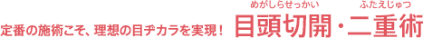 定番の施術こそ、理想の目ヂカラを実現！ 目頭切開・二重術