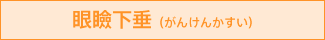 眼瞼下垂（がんけんかすい）
