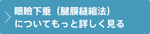 眼瞼下垂（腱膜縫縮法）について詳しく見る