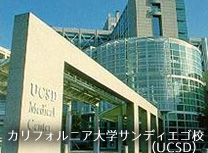 カリフォルニア大学サンディエゴ校