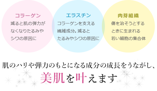 コラーゲン 減ると肌の弾力がなくなりたるみやシワの原因に エラスチン コラーゲンを支える遷移成分。減るとたるみやシワの原因に 肉芽組織 傷を治そうとするときに生まれる若い細胞の集合体 肌のハリや弾力のもとになる成分の成長をうながし、美肌を叶えます