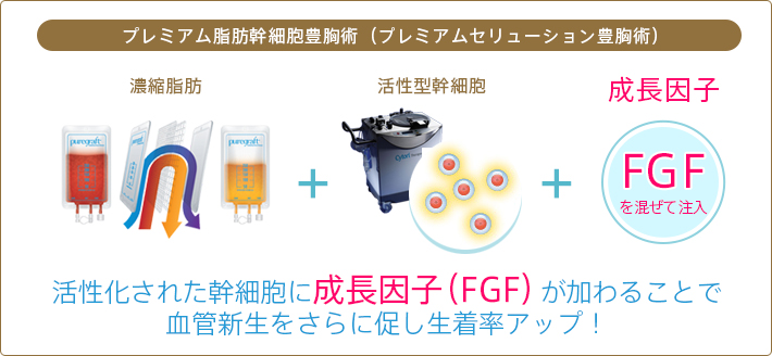 活性化された幹細胞に成長因子（FGF）が加わることで血管新生をさらに促し生着率アップ