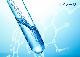 純国産の幹細胞エキス