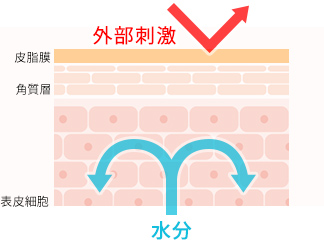 健康な皮膚