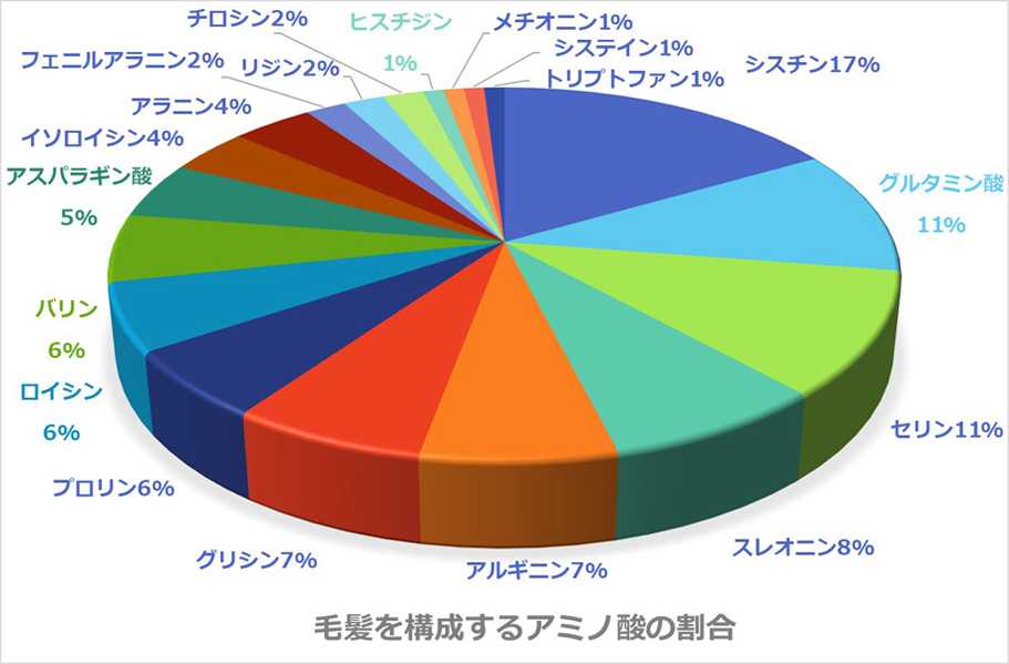 毛髪を構成するアミノ酸の割合：シスチン17%、グルタミン酸11%、セリン11%、スレオニン8%、アルギニン7%、グリシン7%、プロリン6%、ロイシン6%、バリン6%、アスパラギン酸5%、イソロイシン4%、アラニン4%、フェニルアラニン2%、リジン2%、チロシン2%、ヒスチジン1%、メチオニン1%、システイン1%、トリプトファン1%