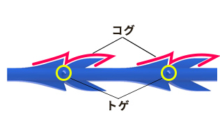 2つの連続したコグ コグとコグの間にある小さなトゲ