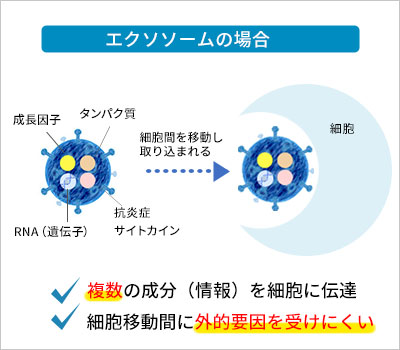 エクソソーム