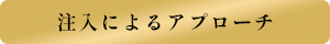 注入によるアプローチ