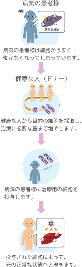 再生医療とは