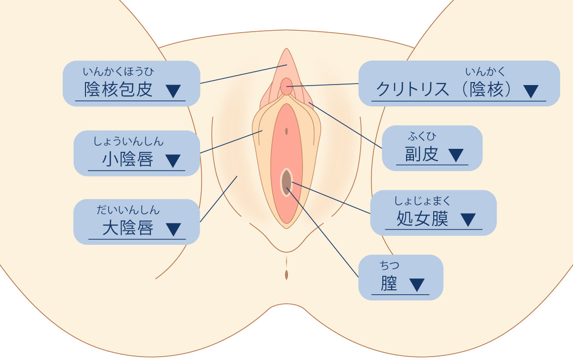 お悩みから探す