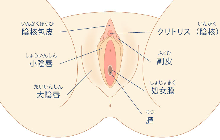 お悩みから探す