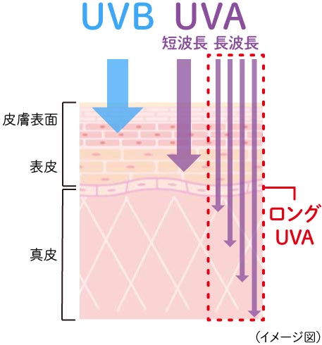 UVA・UVBをブロックする独自のテクノロジーを採用