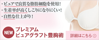 豊乳