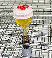 プレミアムPRP皮膚再生療法